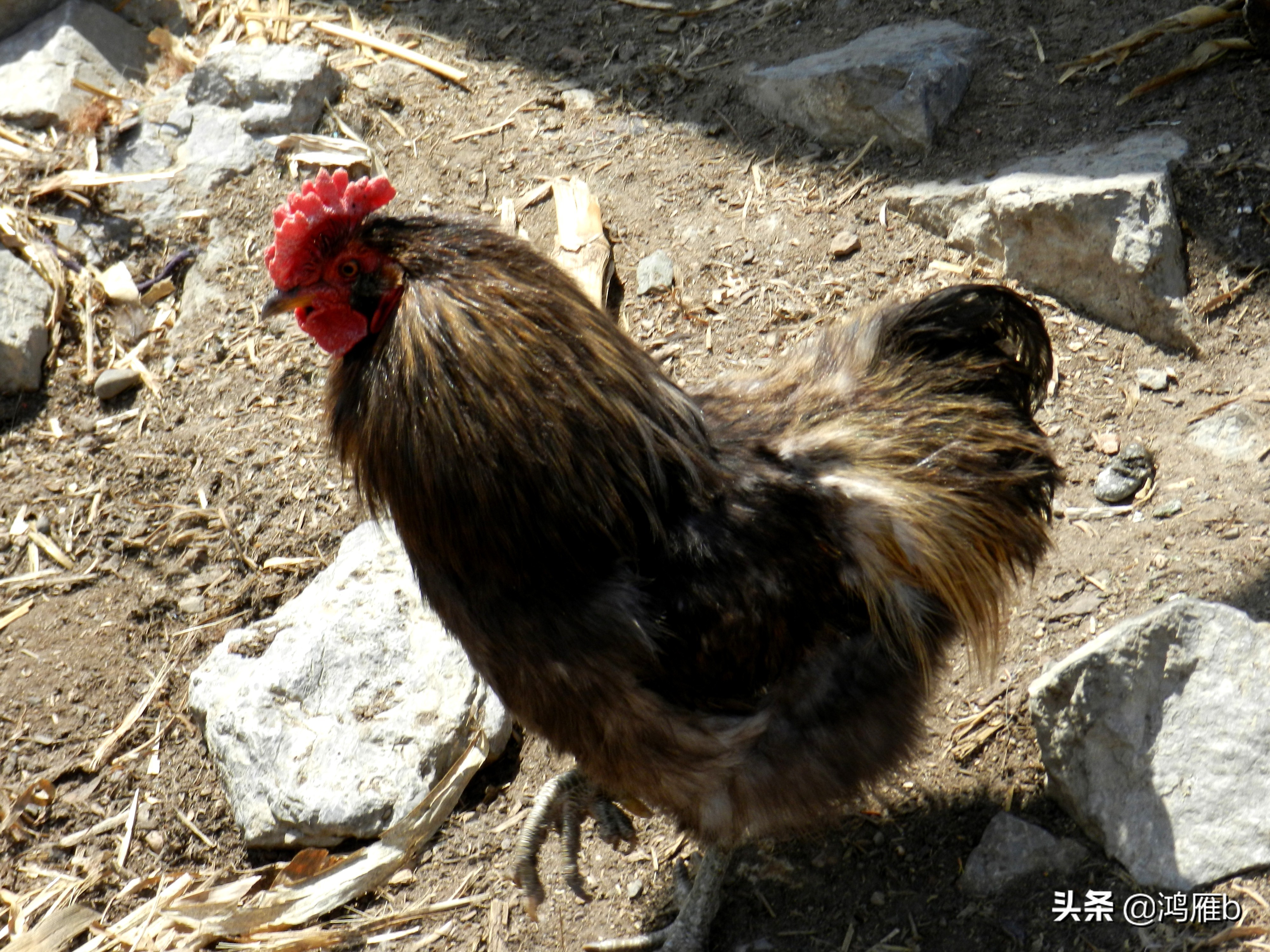 本溪小众秘境,本溪神秘山村