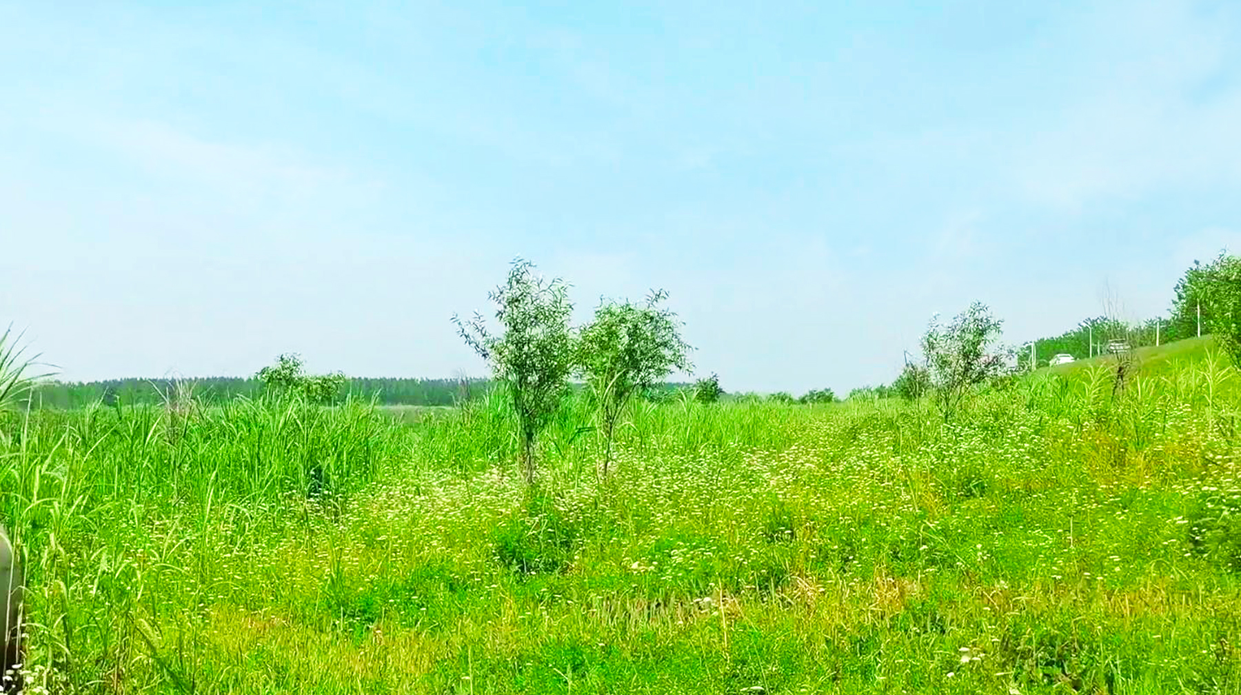 绿水蓝天青草地，打卡湖北武汉郊区黄丝河，宛若油画里的场景