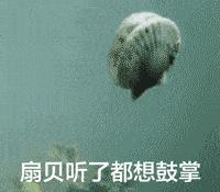 中信国安财务造假案例分析,中信国安资产重组最新进展