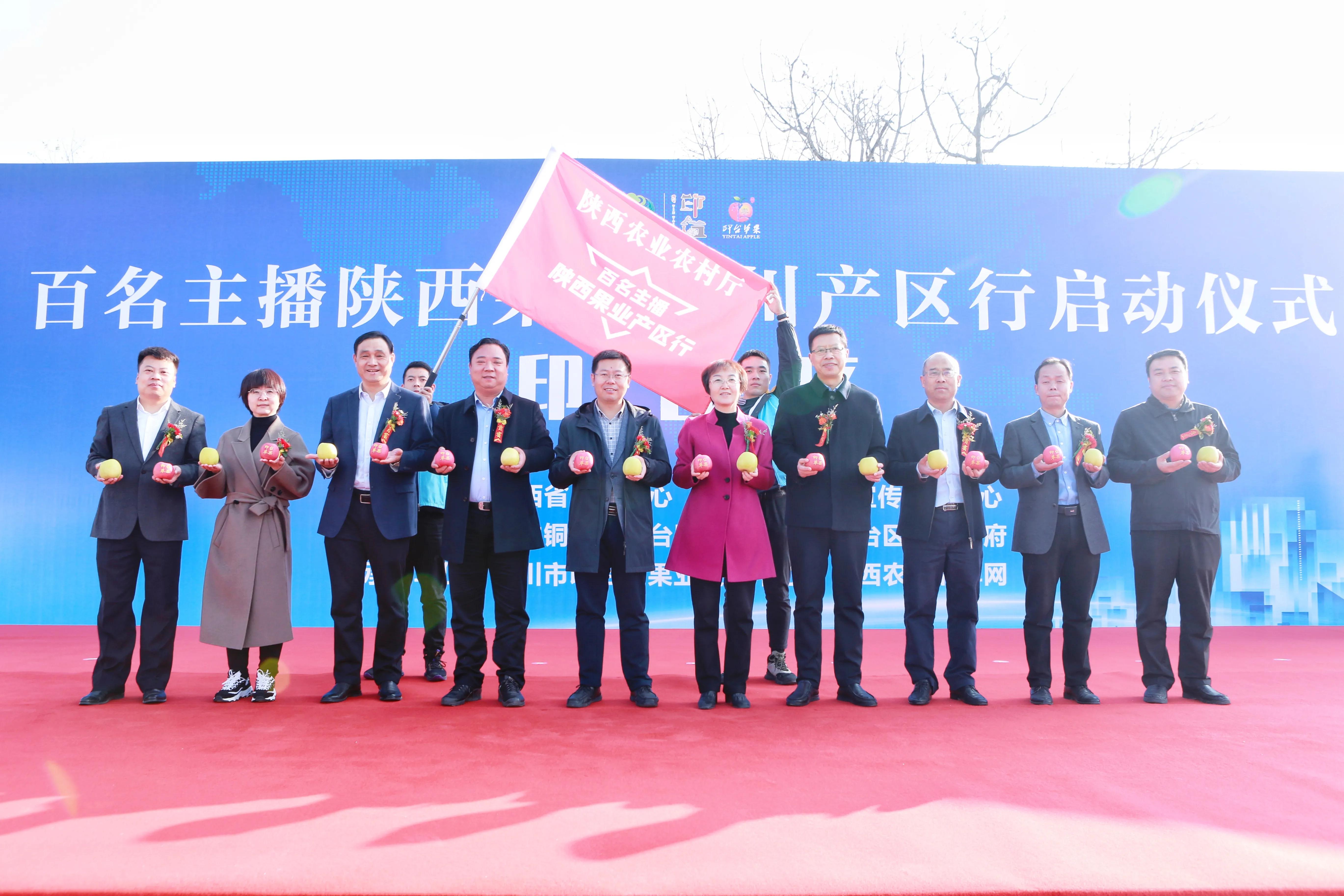 陕西铜川果品,铜川印台镇果业