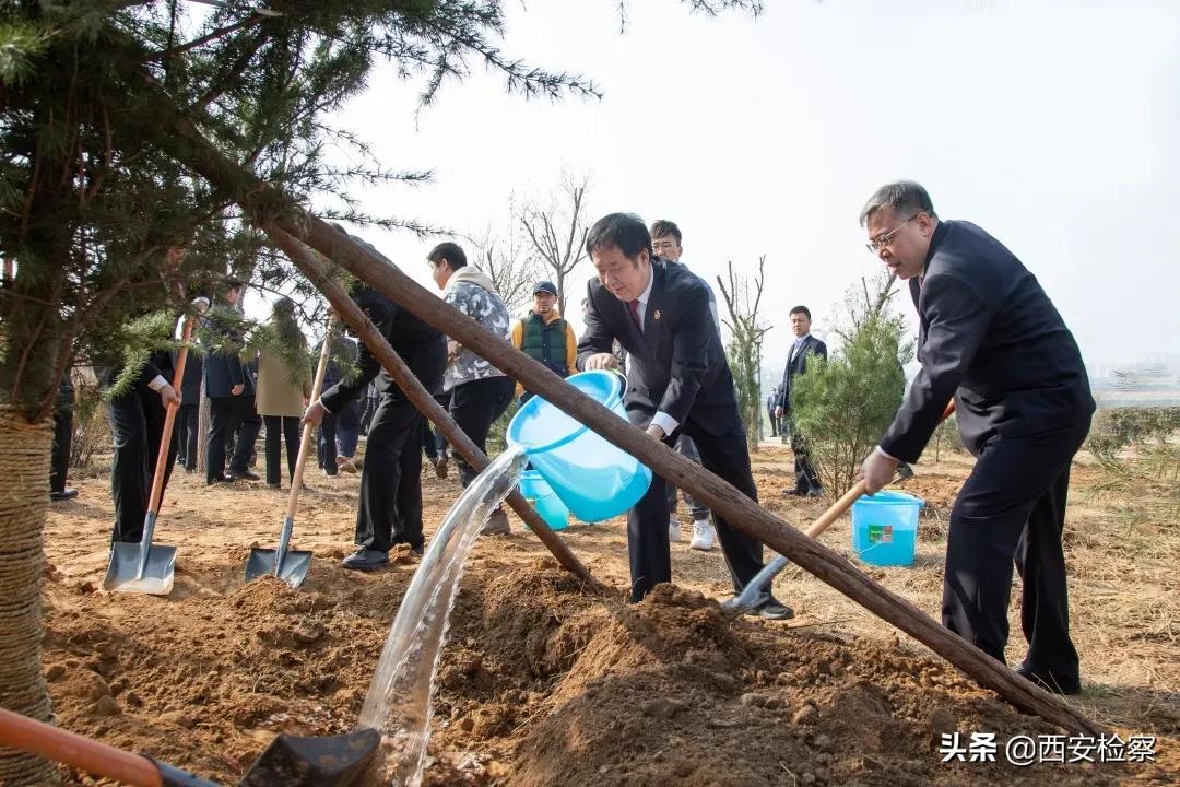 陕西黄河流域生态保护范围,陕西十大行动保护黄河流域生态