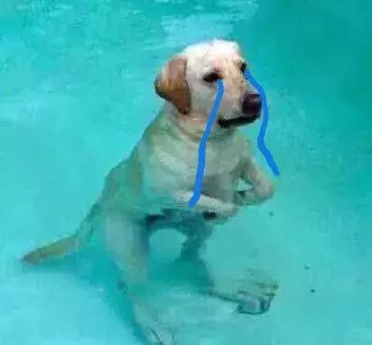 俄罗斯化妆品真的假的,俄罗斯的化妆品和国货差别很大么