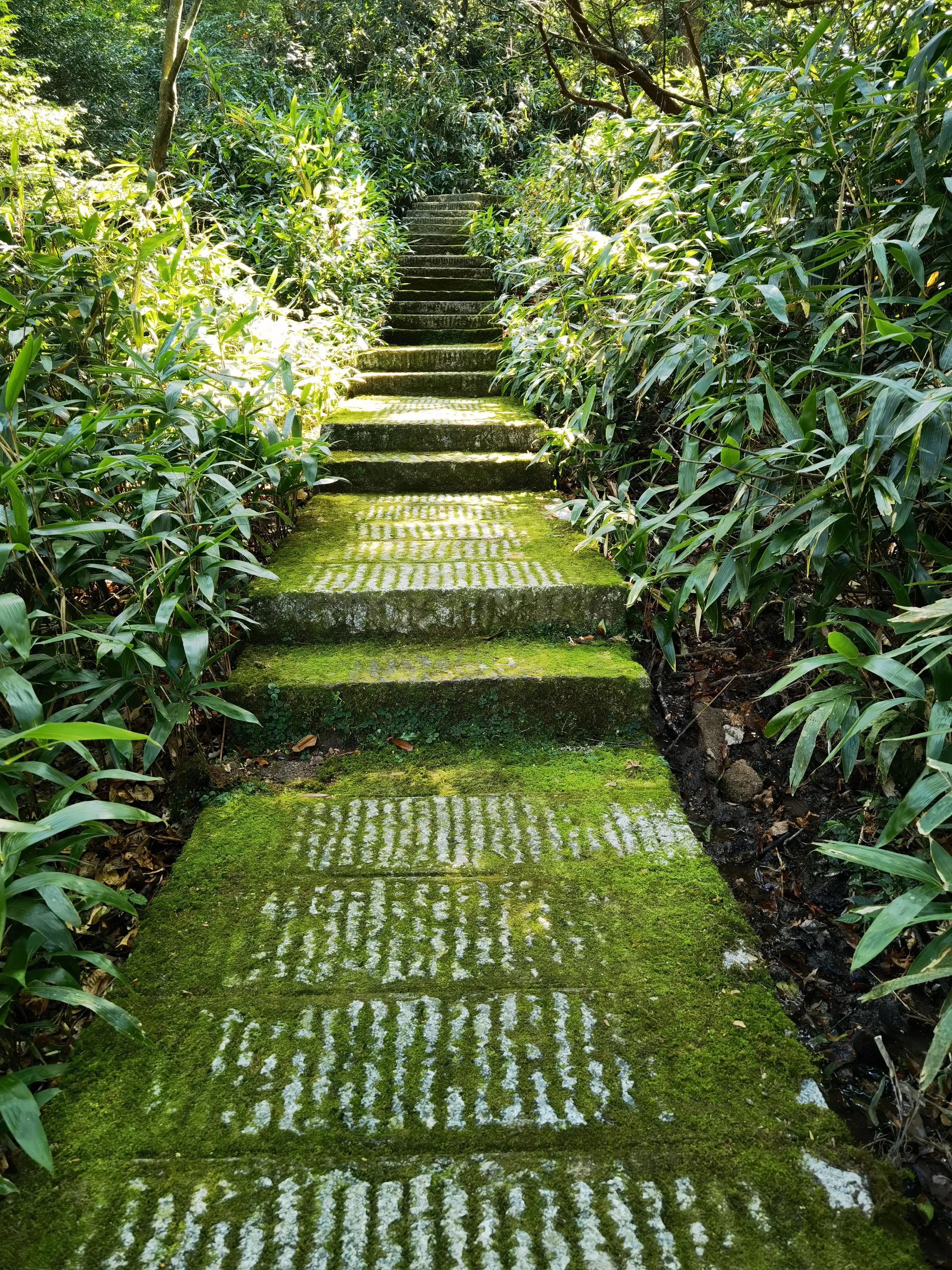 五岳独秀,五岳独秀图文