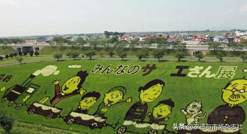 日本农业成功的主要经验,中国和日本农业差距50年