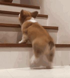 杨幂的腿比筷子腿更美,杨幂的腿型好看吗