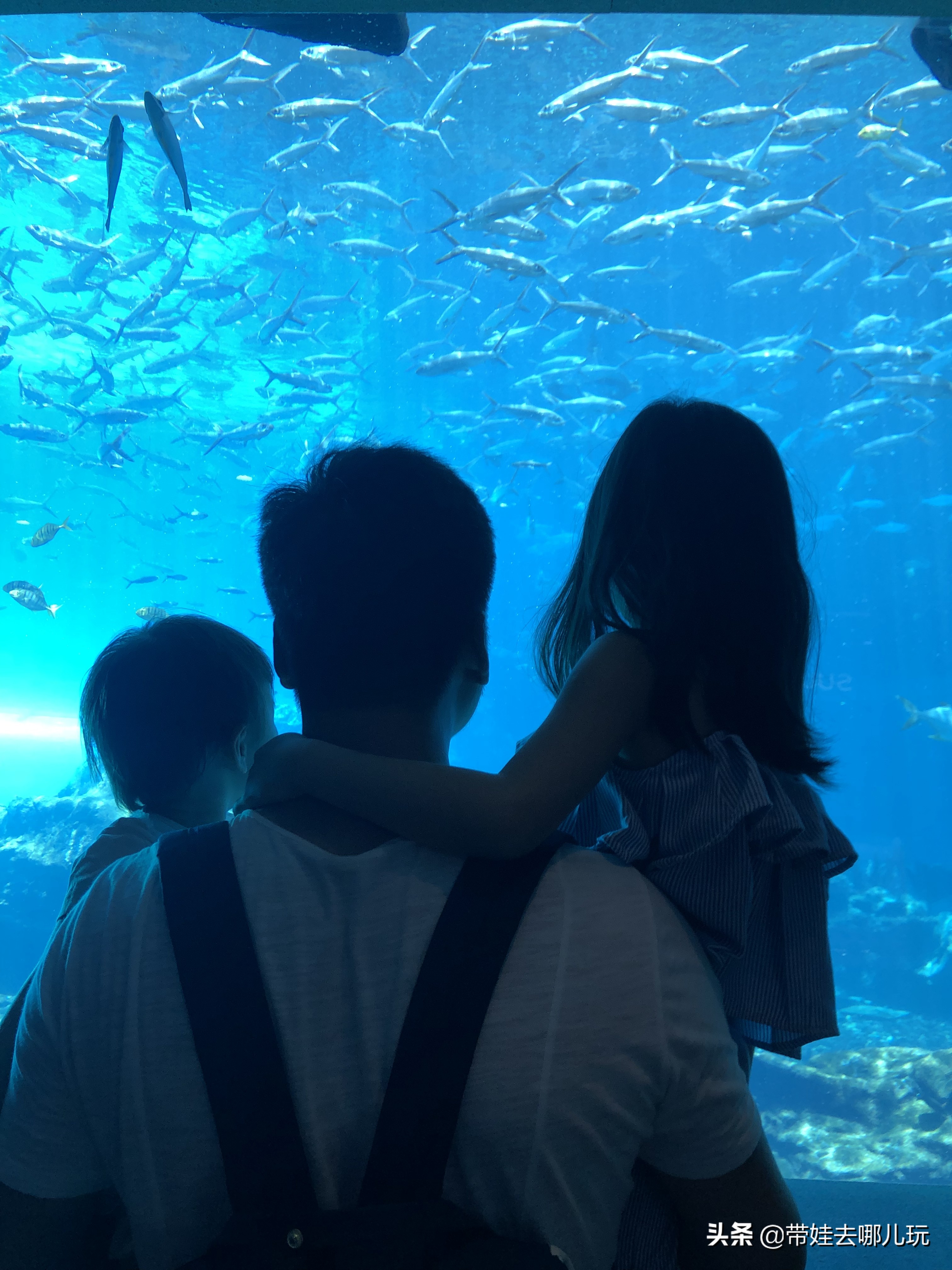 三亚洲际酒店海棠湾海底世界,三亚海棠湾三大顶级酒店