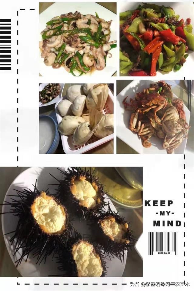 爱上一座城爱上一个人短视频,长岛大壮渔家民宿团购