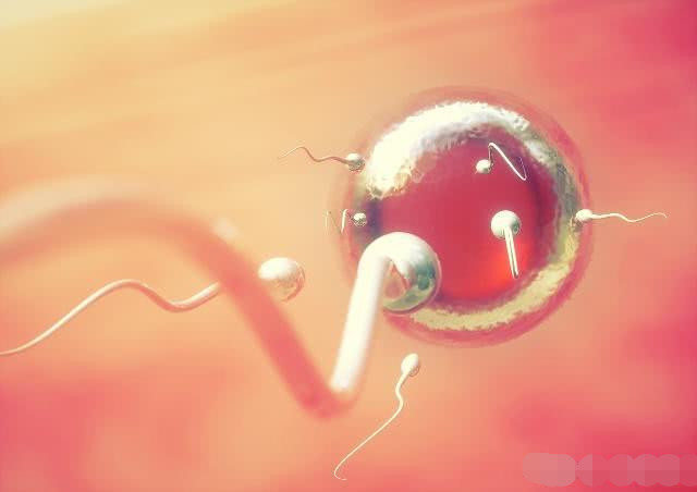 一般备孕多久怀孕是正常的,备孕多久测得出来