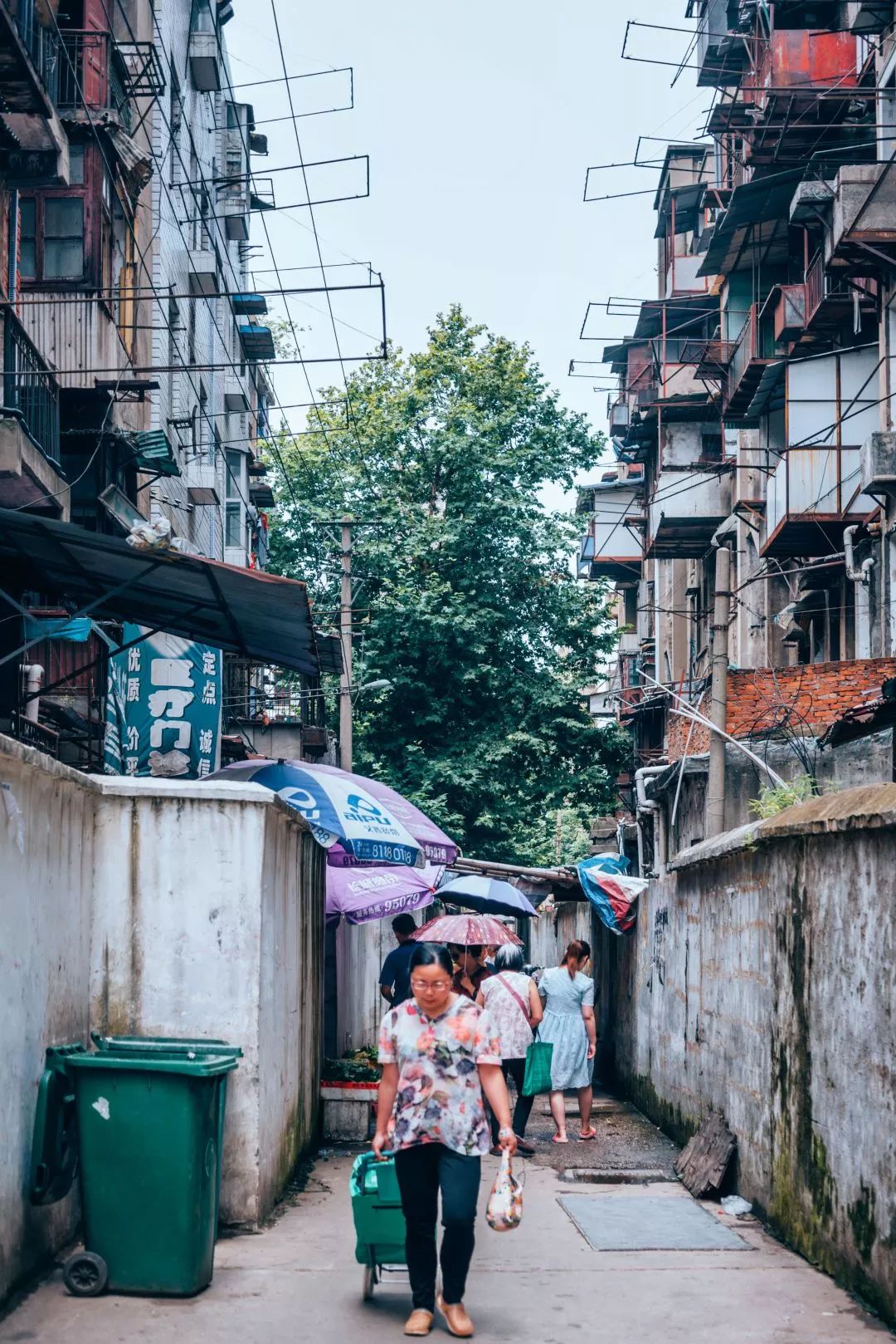 武汉是怎样的一座城,武汉发展汉阳