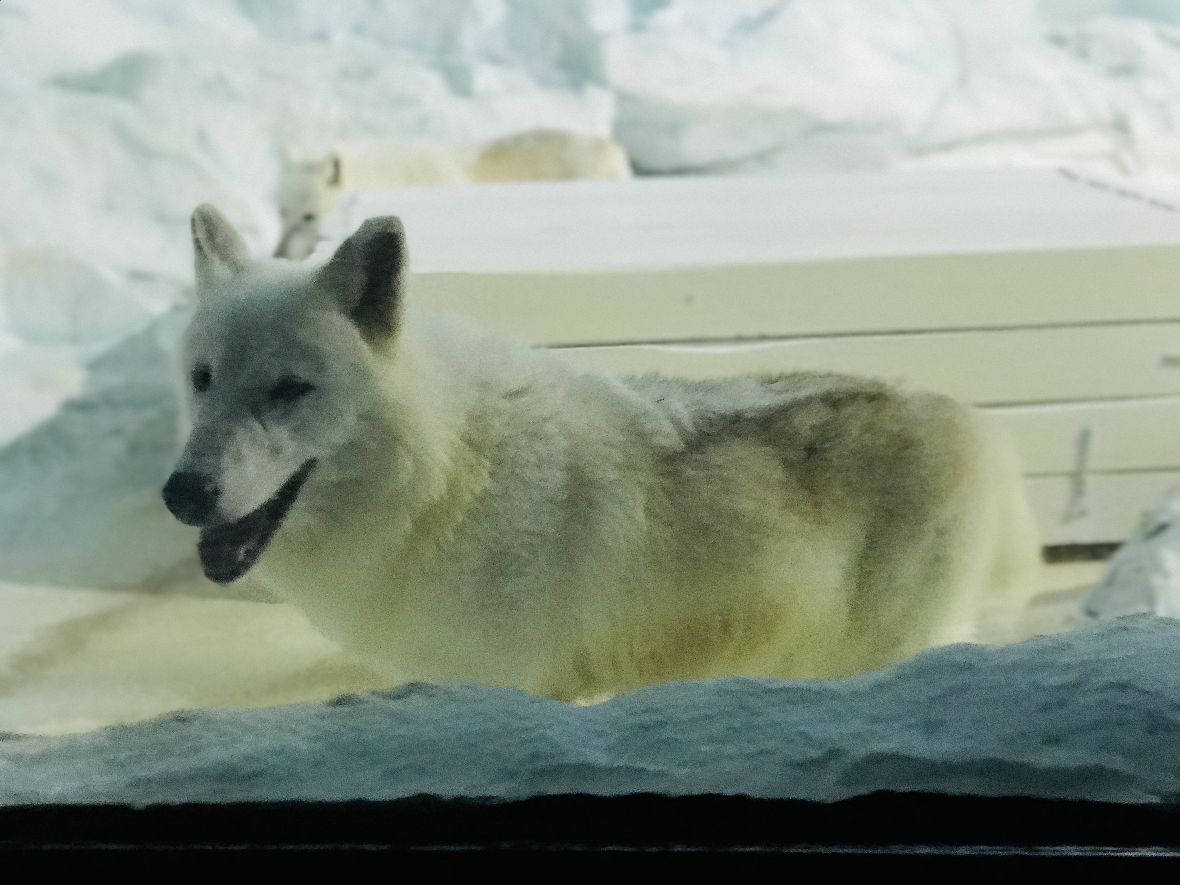寒假带孩子去长隆玩什么,长隆寒假旅游攻略