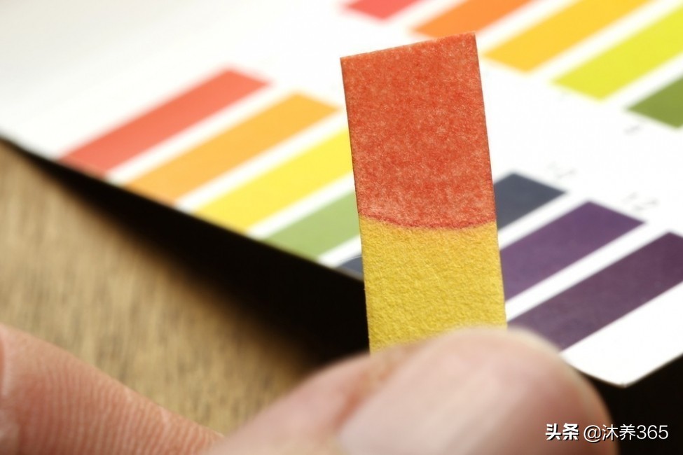 酸碱平衡各种正常数值,人体酸碱平衡的调节主要依靠