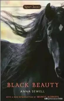 适合初中生读的英语原著书籍推荐,适合初中生看的英文书籍推荐