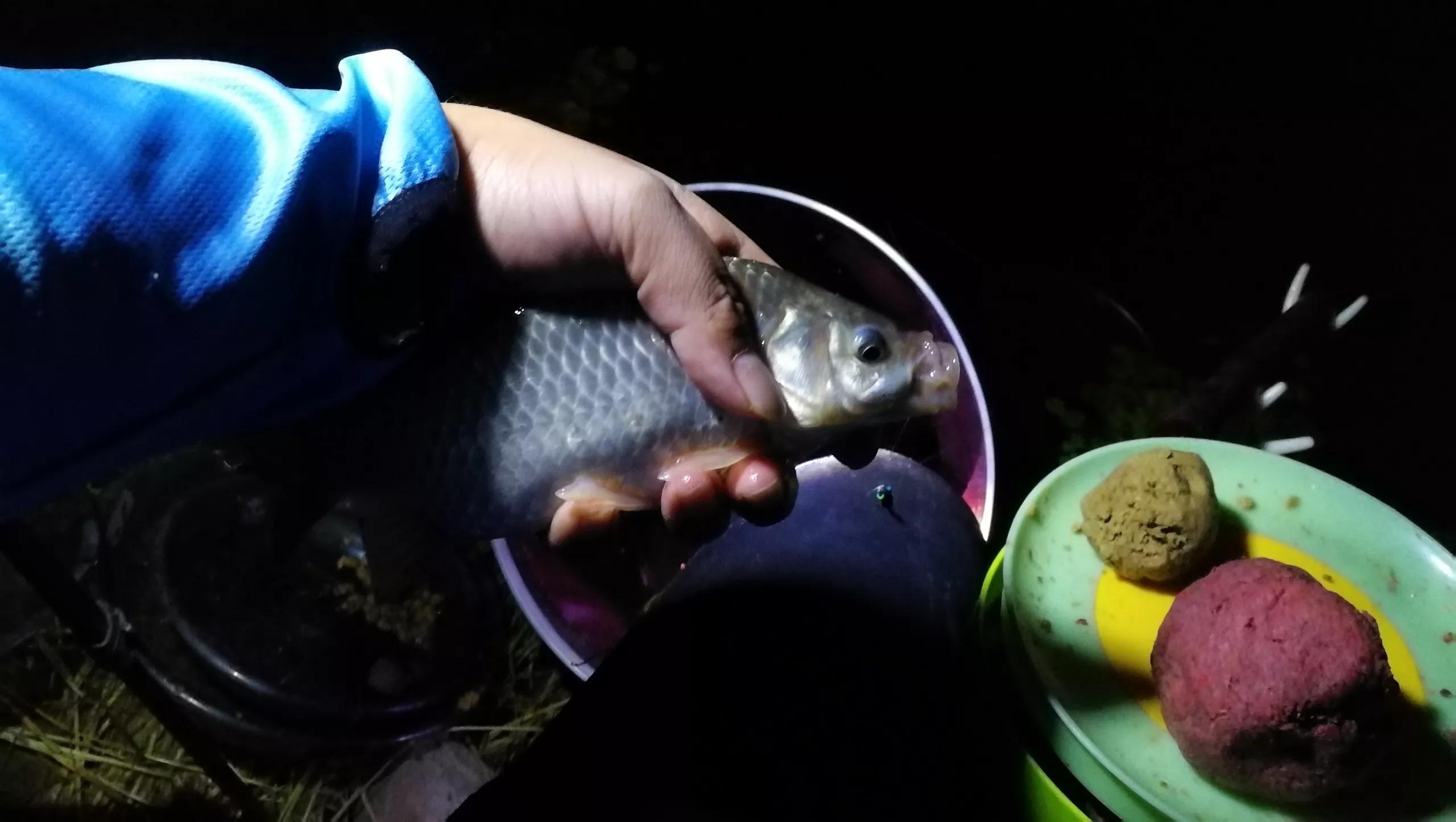 野钓大鱼的5个“专属”技巧,专钓大鱼的方法和技巧