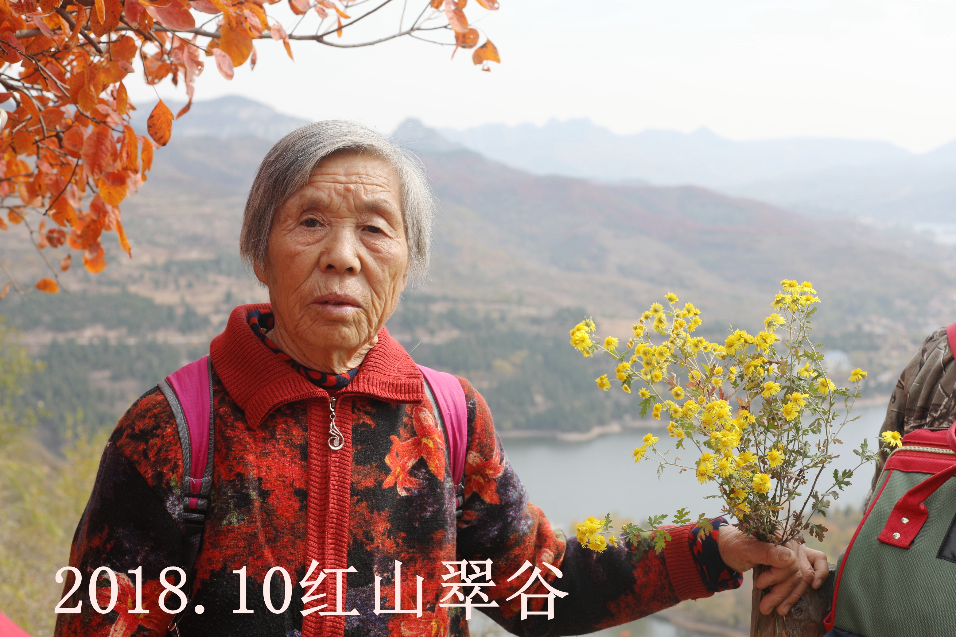 最美的她歌曲原唱,最美的歌献给我的母亲