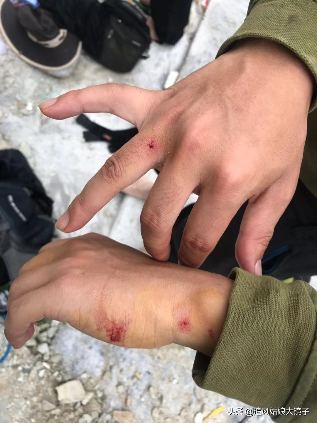 穿越到原始森林里面,穿越原始森林来种田