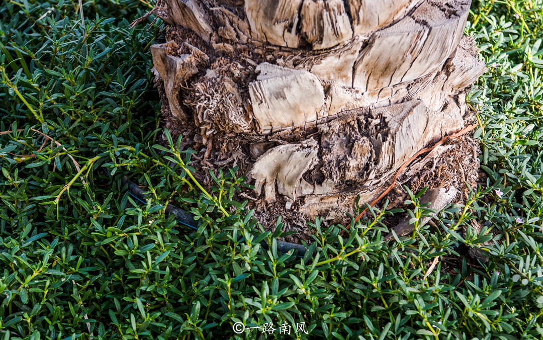 迪拜一望无际大沙漠,中东沙漠明珠迪拜