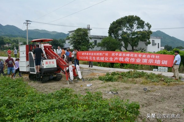 科技助农柑橘丰收,花生高产方案专业助农