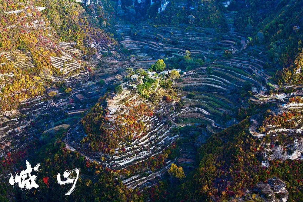 喊山经典片段分析,喊山电影深度解读