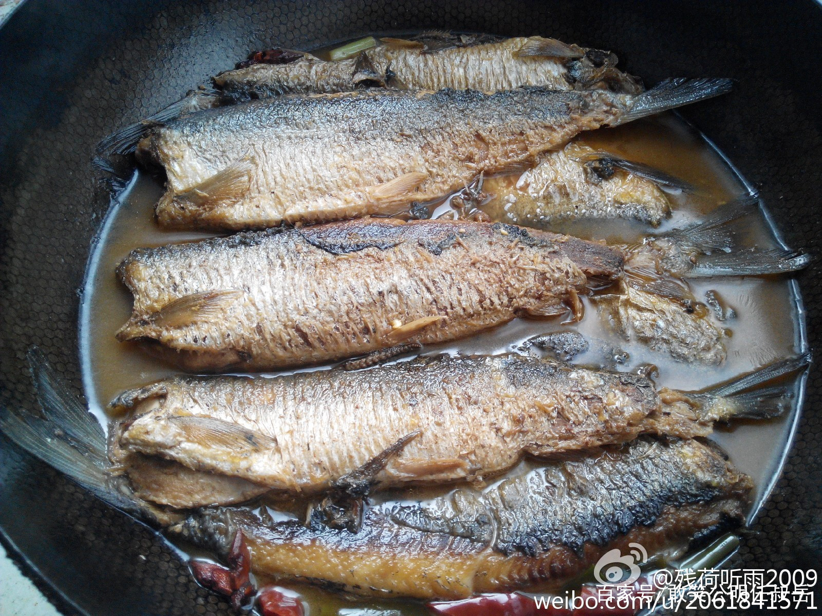 海里的青鱼和湖的青鱼有什么区别,淡水青鱼与海水青鱼