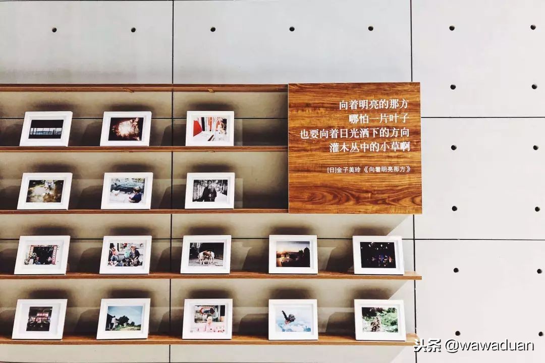 12月的深圳不能错过什么？我已经打卡