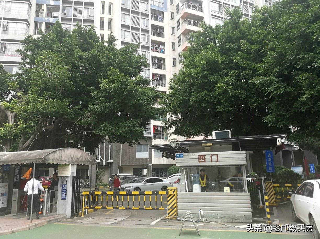 小赵买房最新视频,万科金色悦府房价