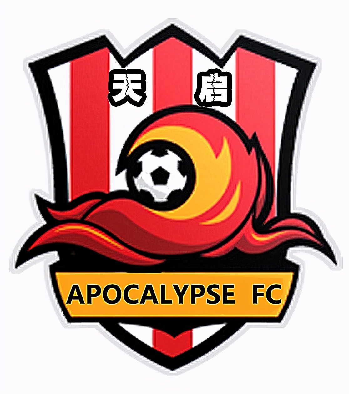 山东足球俱乐部队徽,山东省队徽章