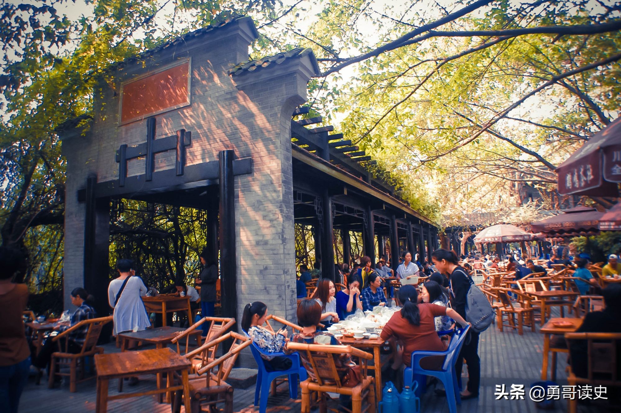 成都八大怪是哪八怪吃的,成都老八怪