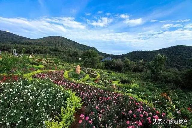 郑新黄河大桥2021年收费政策 (郑新黄河大桥2020年收费政策)