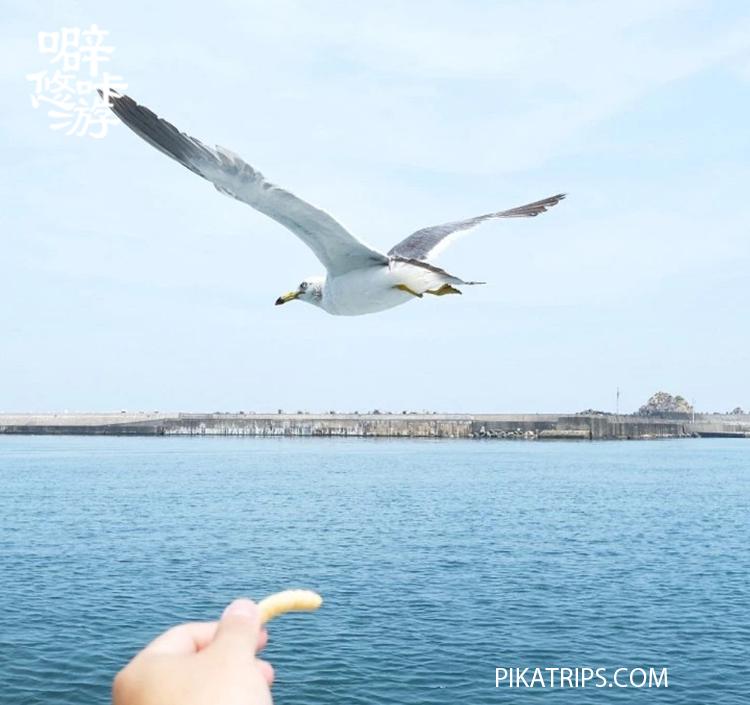 日本富士山箱根旅游攻略,日本冈山旅游攻略