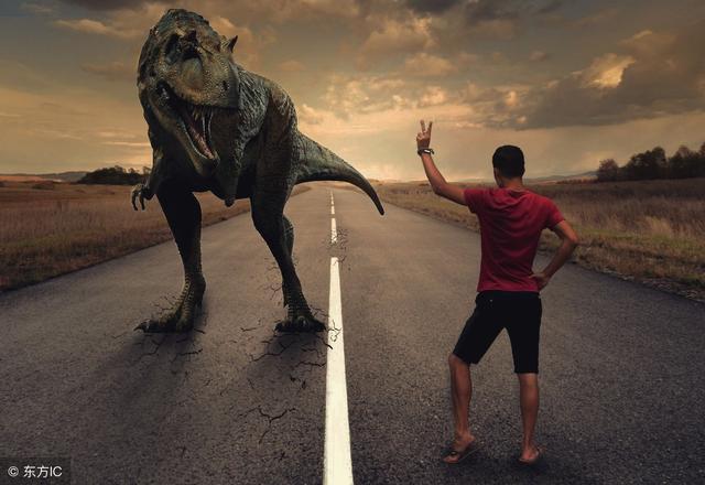 ps60天零基础入门教程,ps14.0入门教程零基础