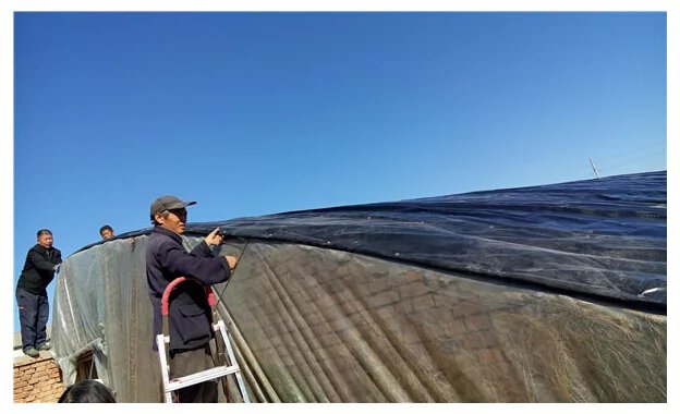 鑺辨埧濮戝澶氳倝閰嶅湡,鑺辨埧濮戝鐜夐湶澶氳倝