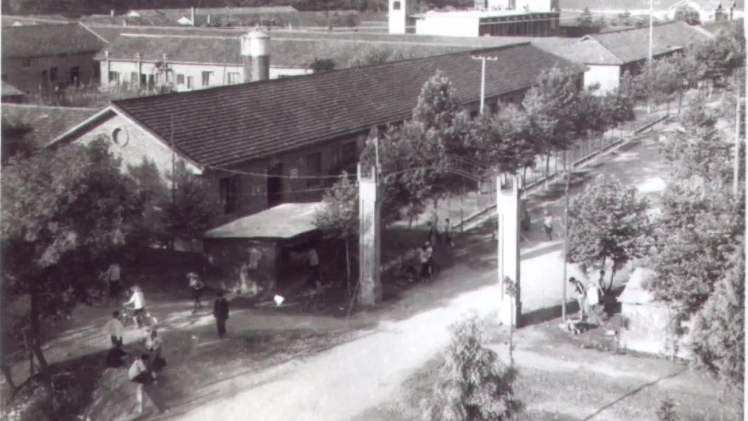 农垦史话丨沙河情思