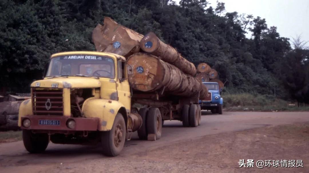 科特迪瓦发展现状,科特迪瓦为什么在欧洲