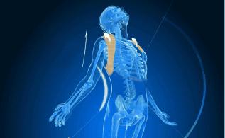 驼背如何矫正最快最有效方法,驼背怎么办最有效的方法