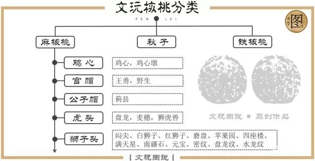 文玩核桃官帽和狮子头区别,文玩核桃官帽与狮子头区别