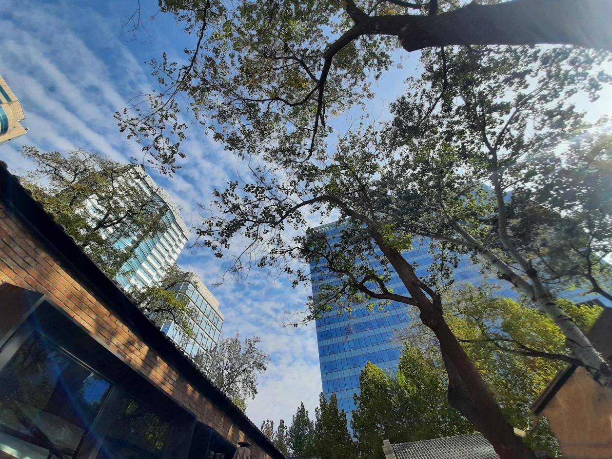 三星a20s测试,三星a20s手机怎么样