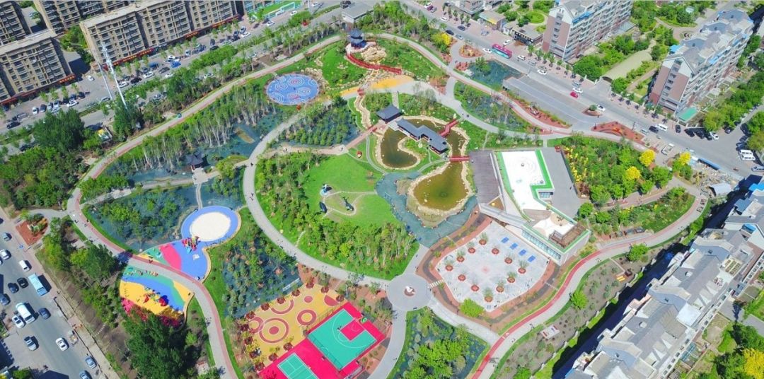 牛总创业经历视频,牛总投资