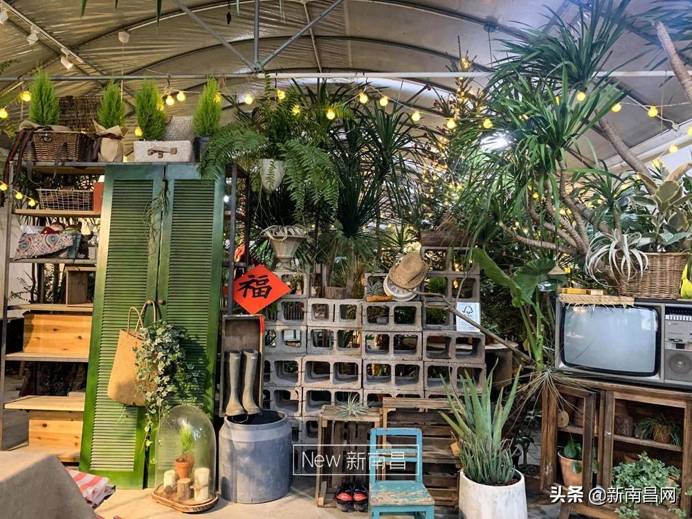 南昌花市有哪些地方,南昌花市批发市场