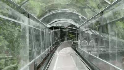 冰雪奇缘的美丽瞬间,冰雪奇缘照进现实