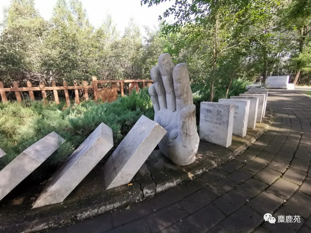 北京世界灭绝动物墓地,世界灭绝动物的墓地在哪里