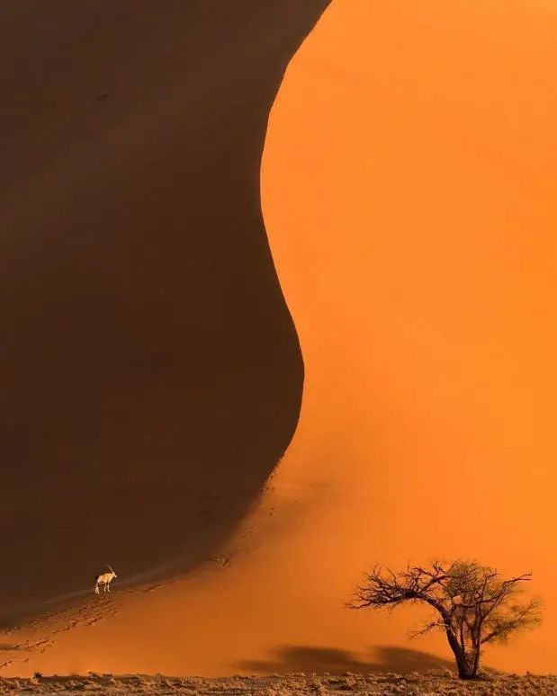 这9个没有确诊的国家，请继续美好