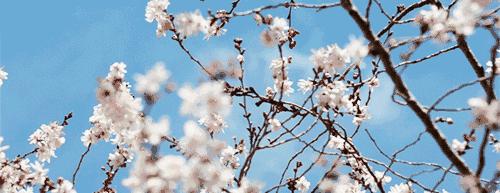 孝感出发旅游攻略路线,湖北孝感的旅游攻略