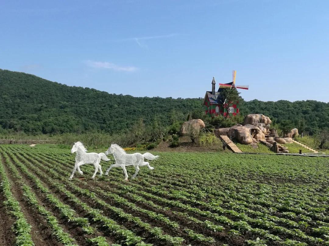 醉花海古镇美景,醉舞花海