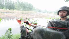 放弃清华去参军,放弃清华入军营报效国家