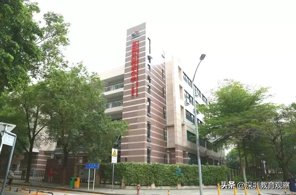 深圳福田小学排名一览表,八一八小学