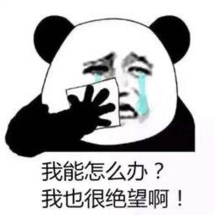 一入爬虫深似海,零基础如何学爬虫技术