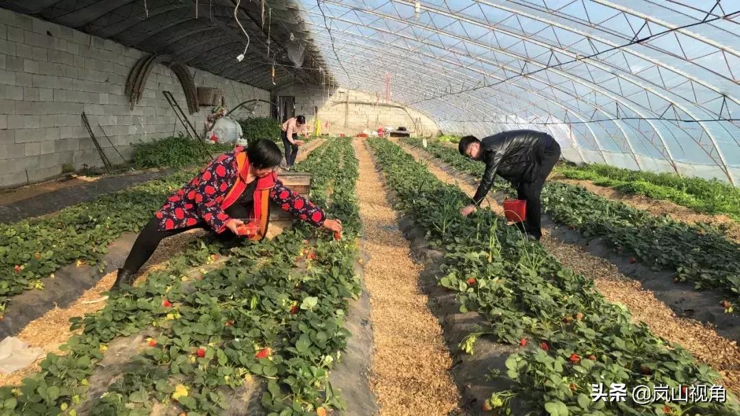 语音丨3月14日星期四岚山人的新闻早报来啦！