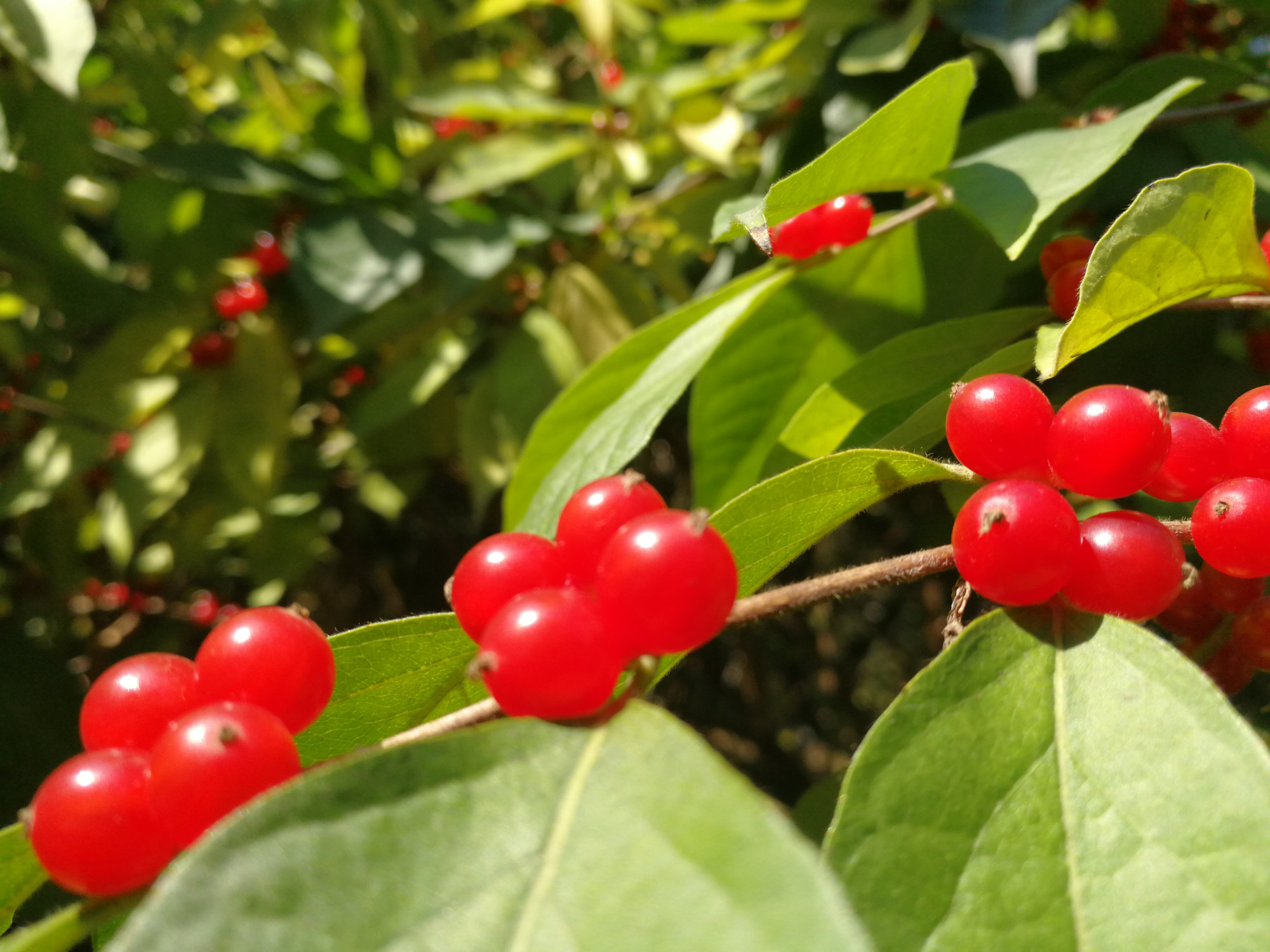 51信用卡咋回事,51信用卡平台为什么说我欠钱呢