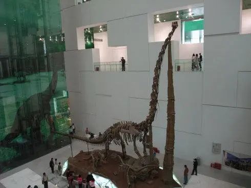 有图有真相有依据,有图有真相眼见为实