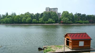 浙师校庆节,浙师百年校庆